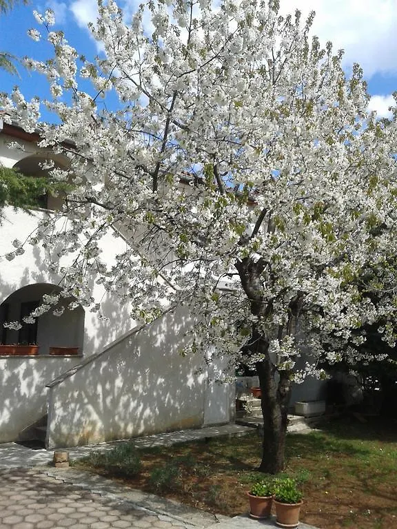 Apartments Porec Istria By Nina